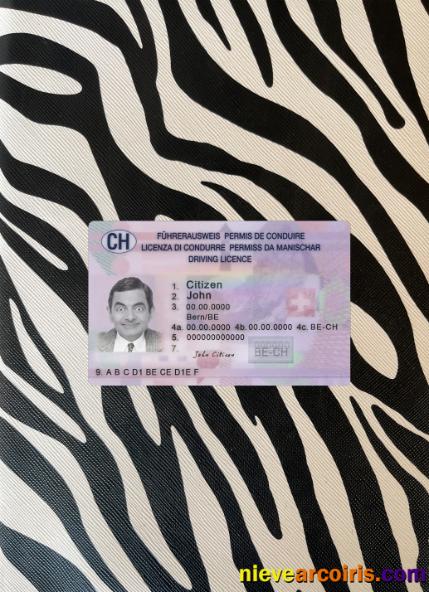 Switzerland driving license 2023-present photolook